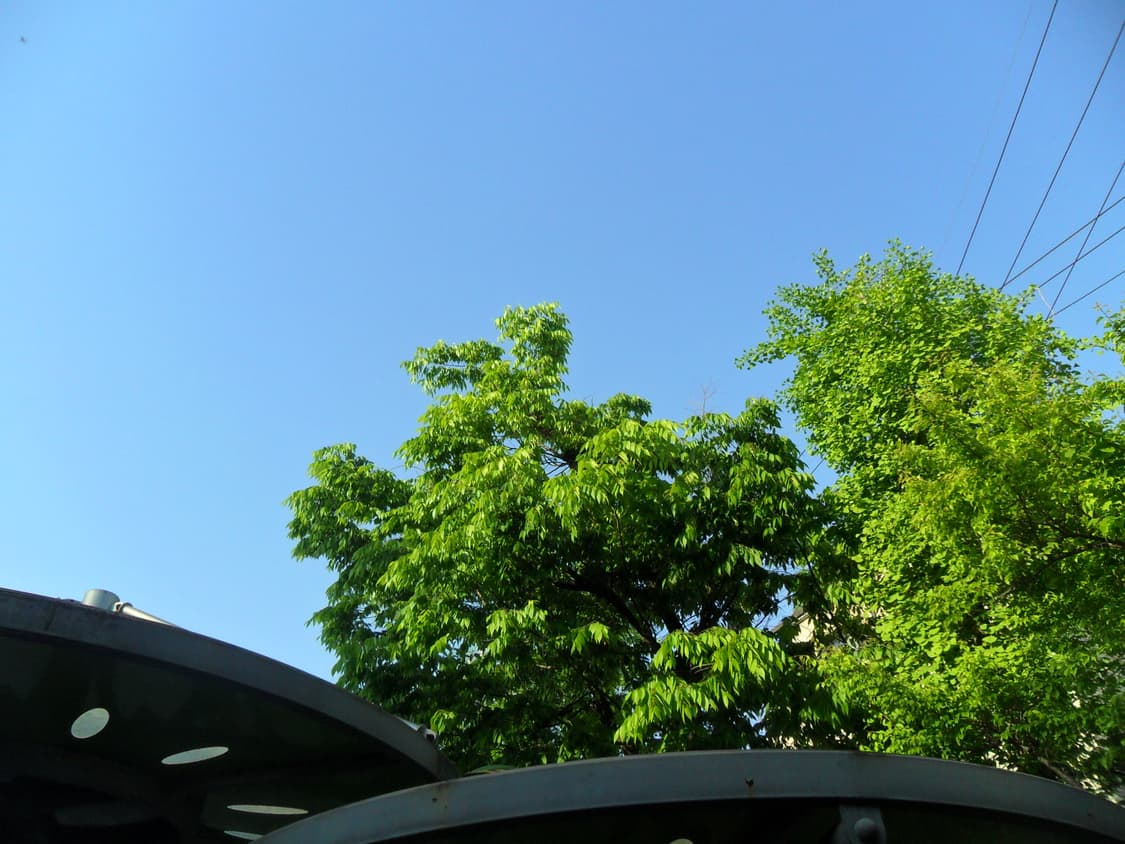 삼성 vluu es28디카 상품이미지9