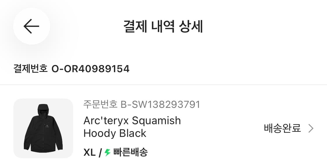 [XL] 아크테릭스 스쿼미시 후디 블랙 상품이미지8