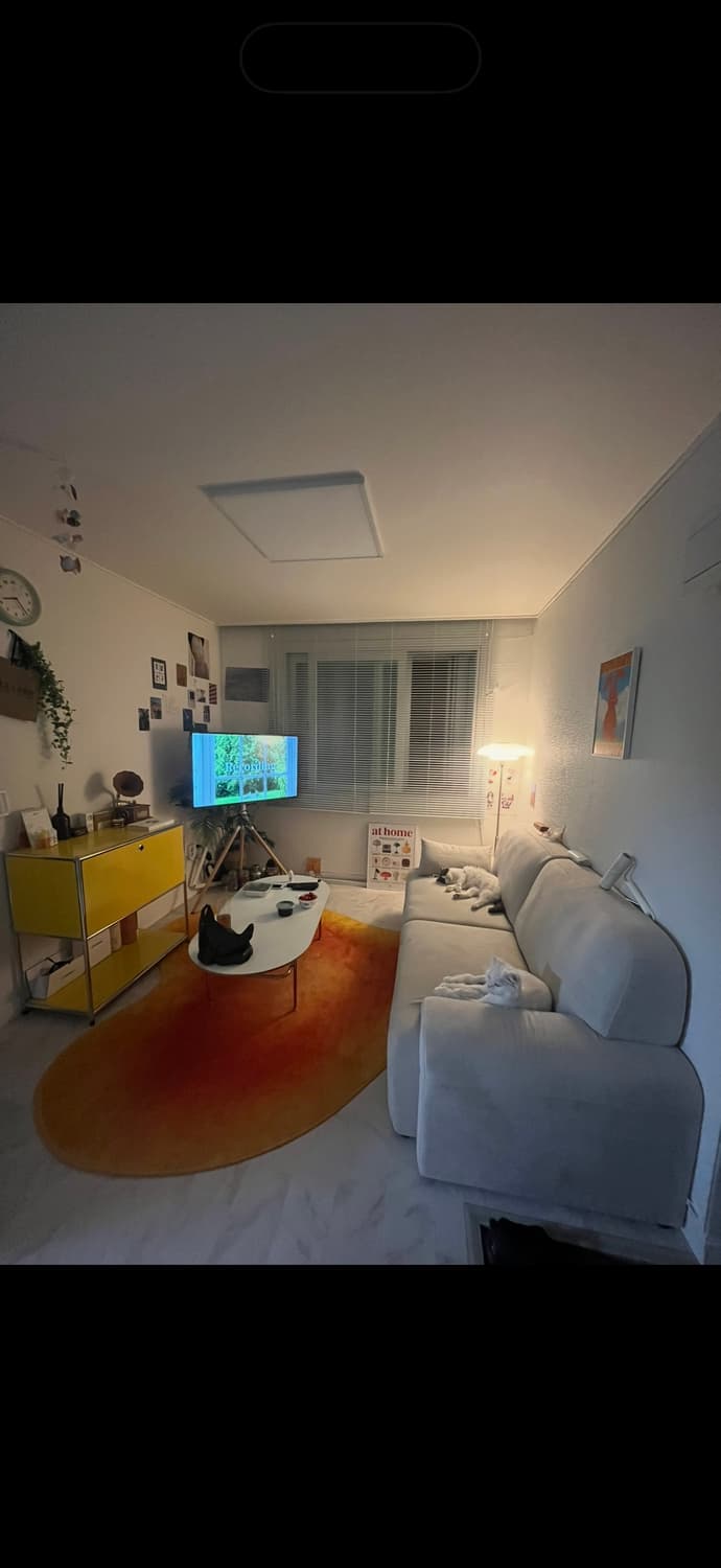 세이투셰 옐로우 러그L 상품이미지4