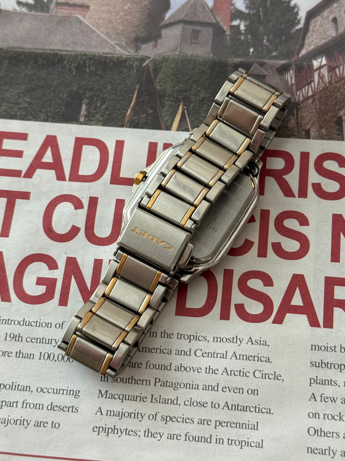 Seiko 세이코 Cadet 스퀘어 콤비 상품이미지3