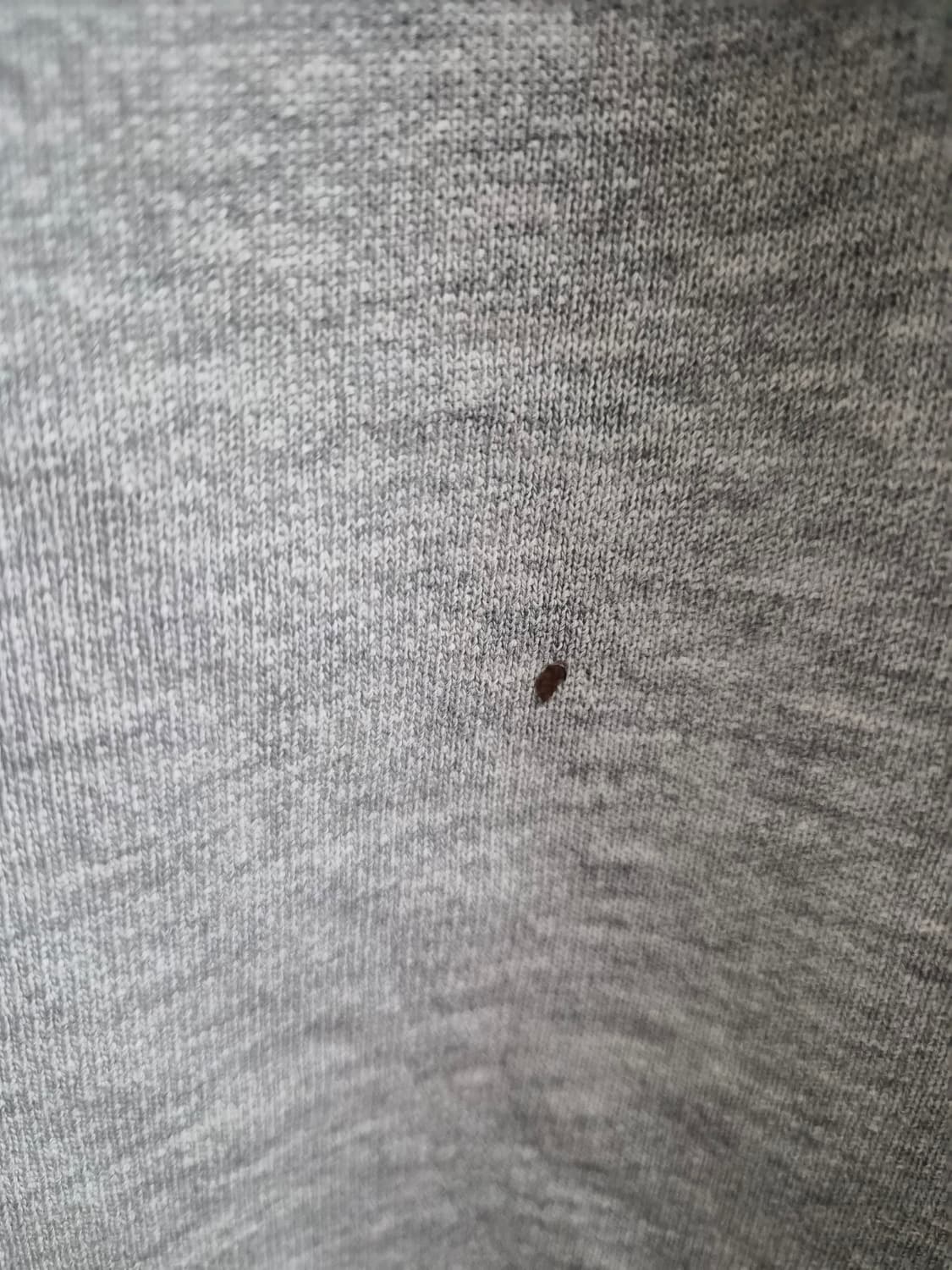 XL) 챔피온 90's 리버스위브 미대학 스웻 셔츠 팝니다 상품이미지4