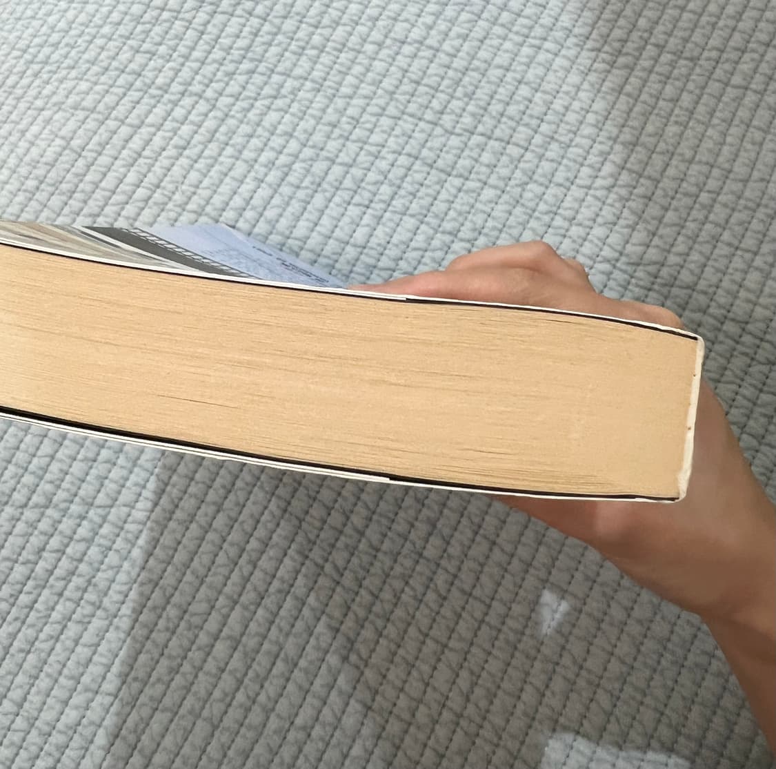 돌이킬수없는 약속 소설책 상품이미지3