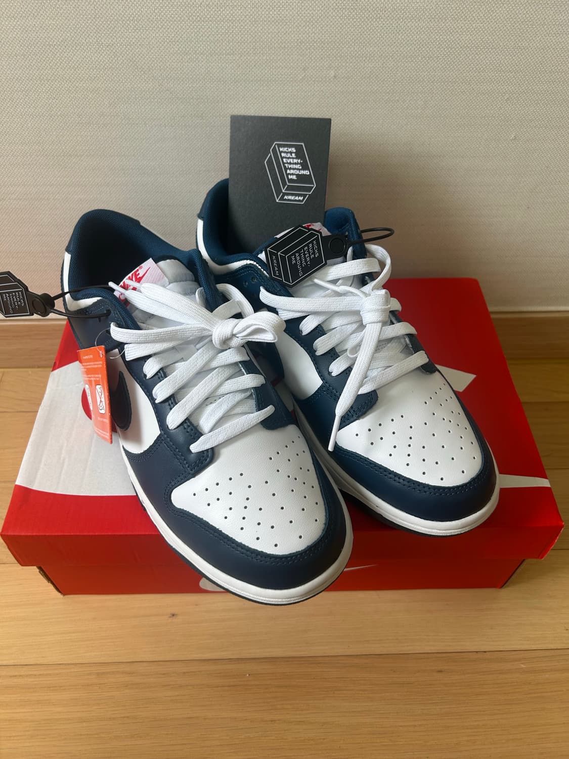 [새상품] Nike Dunk Low Retro Valerian Blue  상품이미지1