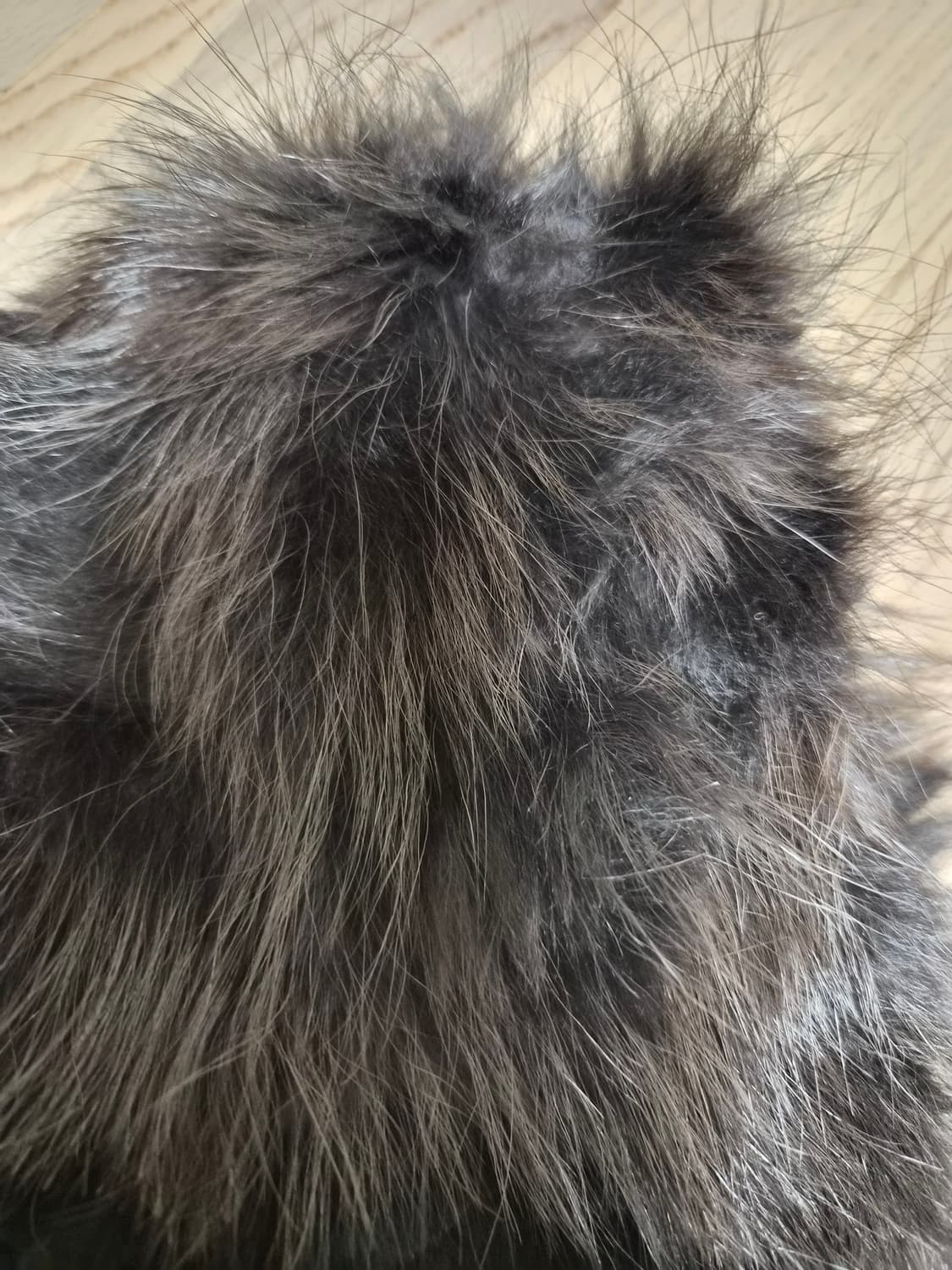 토끼털 베스트 상품이미지10