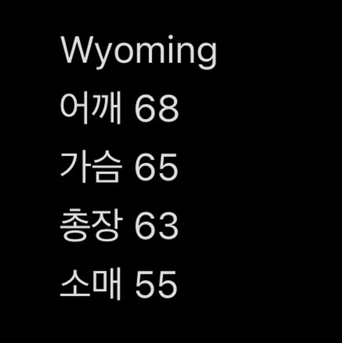 아킴보 클럽 wyoming 후드티 M 상품이미지6