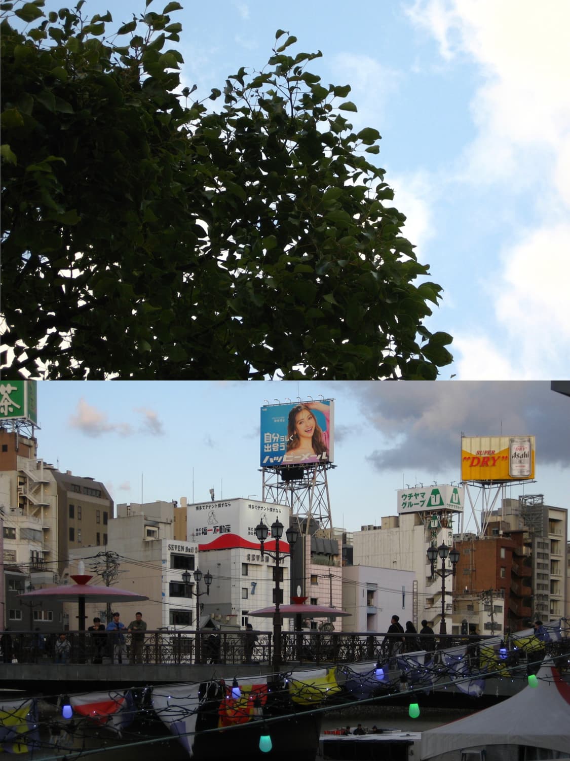 캐논 익서스60 ixus60 익시70 ixy70 (한국어판, 작례 O) 상품이미지10