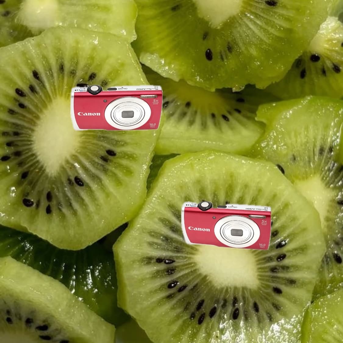 인물사진&강추!) Canon PowerShot A2500 IS 디카 상품이미지1