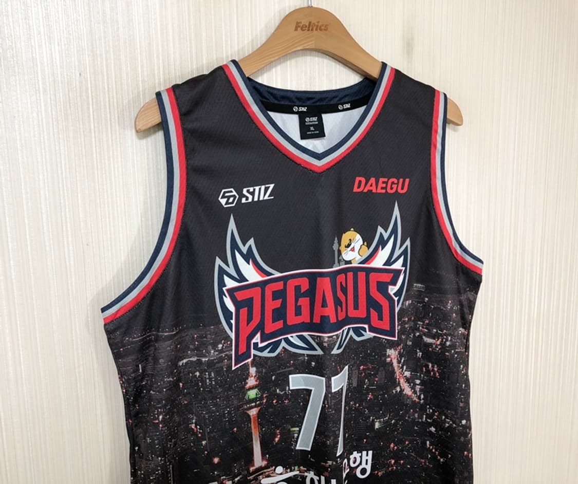 KBL STIZ 대구 한국가스공사 페가수스 시티에디션 XL #77 이도헌 상품이미지5