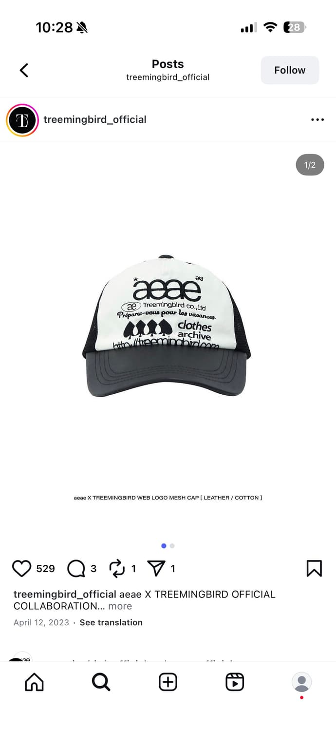 aeae X TREEMINGBIRD | web logo mesh cap 상품이미지1