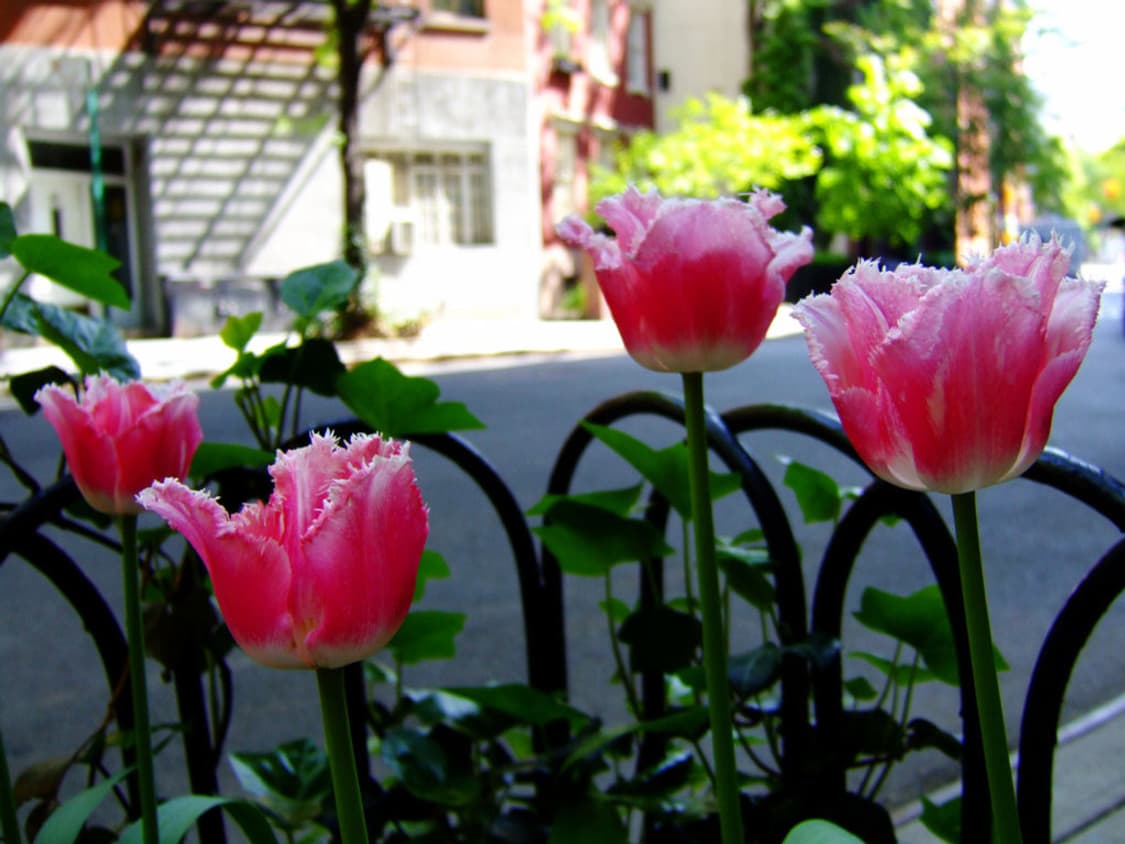 후지필름 FUJIFILM FinePix E900 블랙 상품이미지3