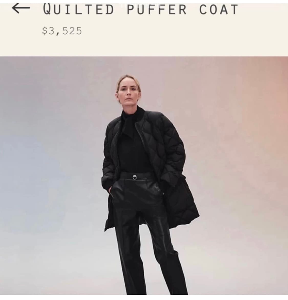 에르메스 퀼팅 푸퍼 패딩34 상품이미지2