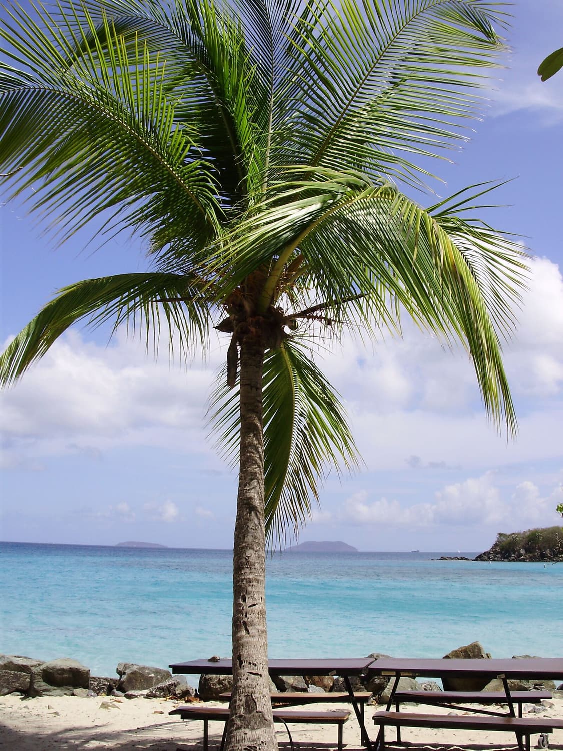 작례O 초소형 감성 올림푸스 fe-310 디지털카메라 빈티지 디카 상품이미지5