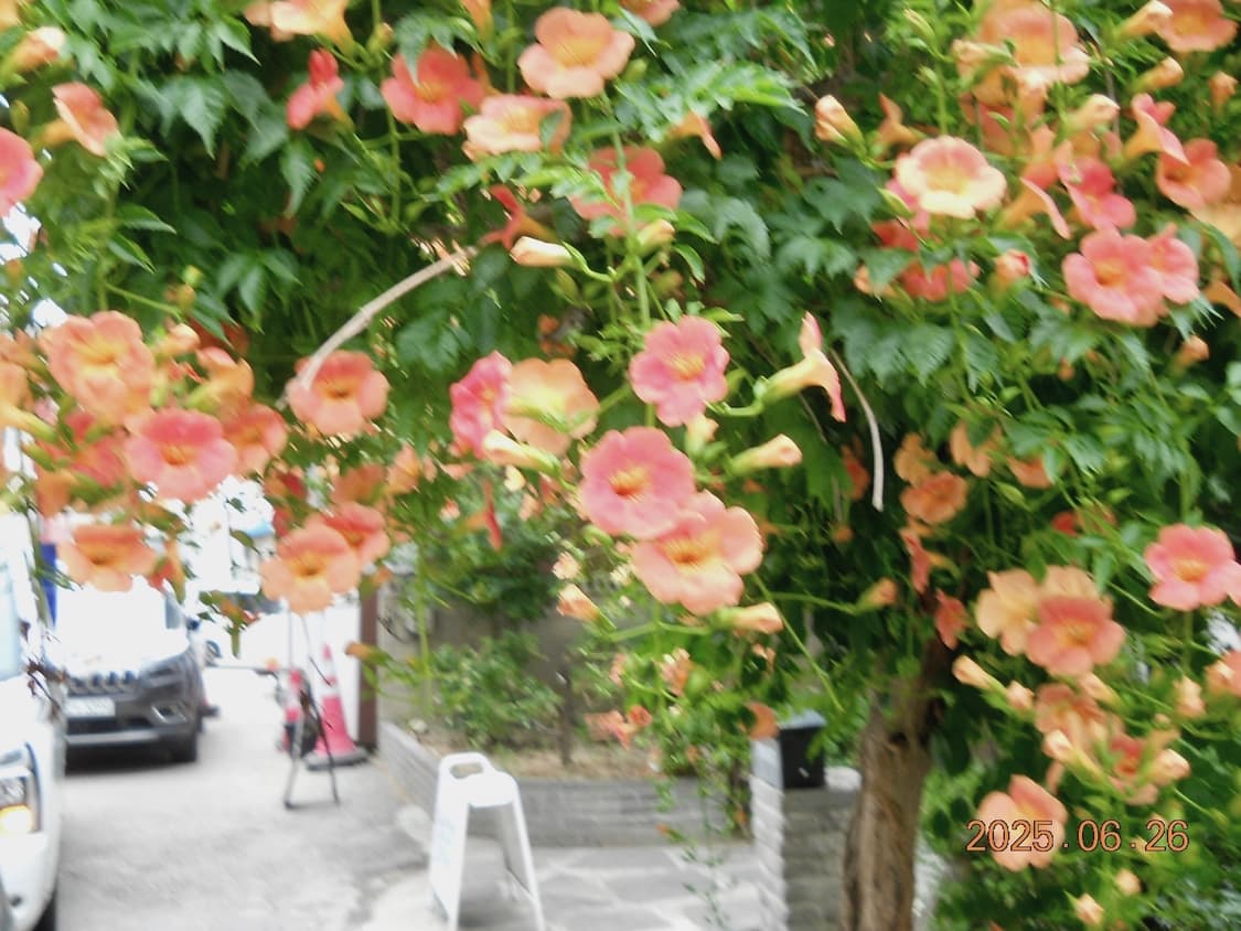 니콘 쿨픽스 Coolpix L21 (작례O) 상품이미지10