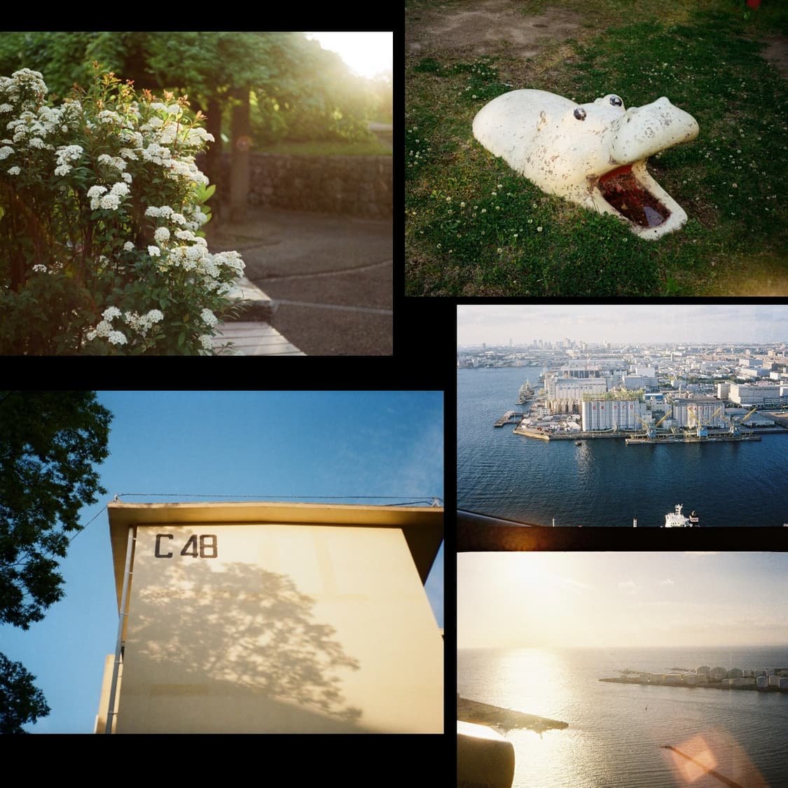 필름카메라 beel&whowell 다이얼35 (작례 0) 상품이미지3