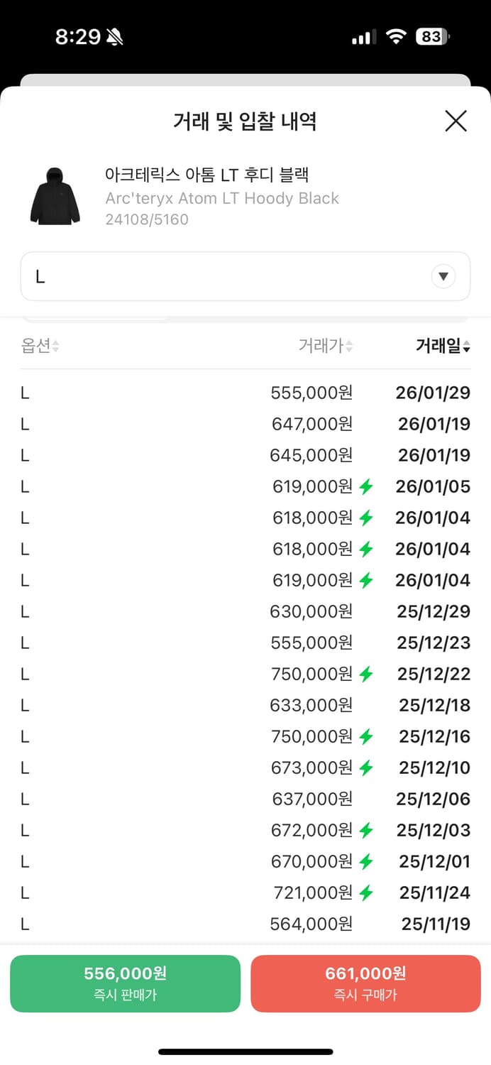 아크테릭스 아톰 LT 후디 L 상품이미지2