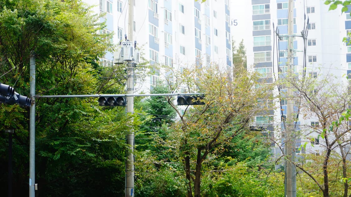 Sony NEX 5N 디지털 카메라 작례있음, 택비포함 상품이미지7