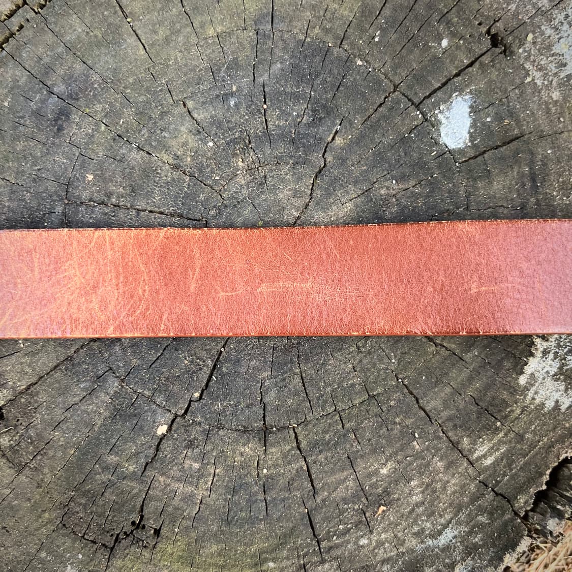 넘버나인 라운드 버클 리얼 레더 벨트 상품이미지4