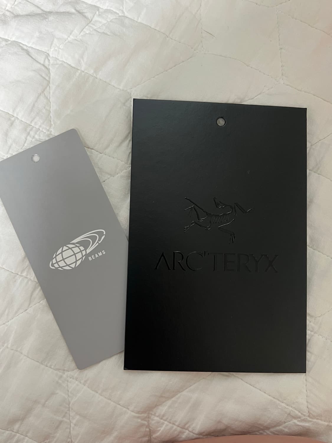 [L] 아크테릭스 x 빔즈 스쿼미시 후디 나고미 택보유중 상품이미지2