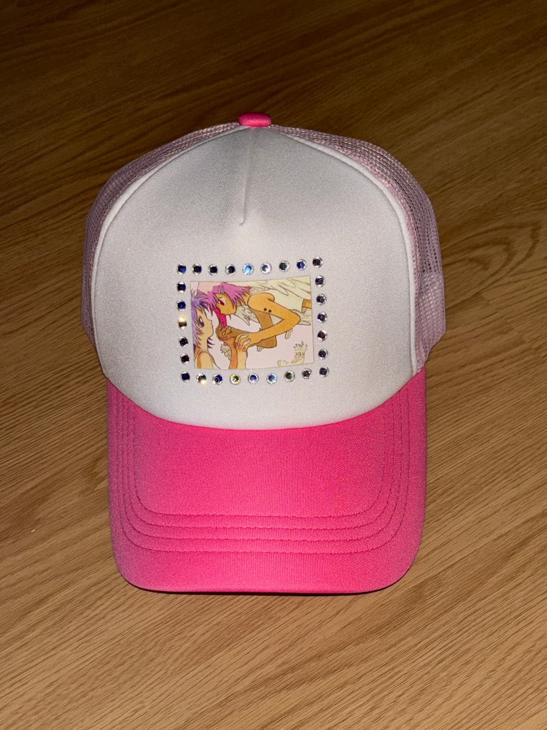 라즈베리파이 raspberry pie oliwa 일러스트 캡 상품이미지3