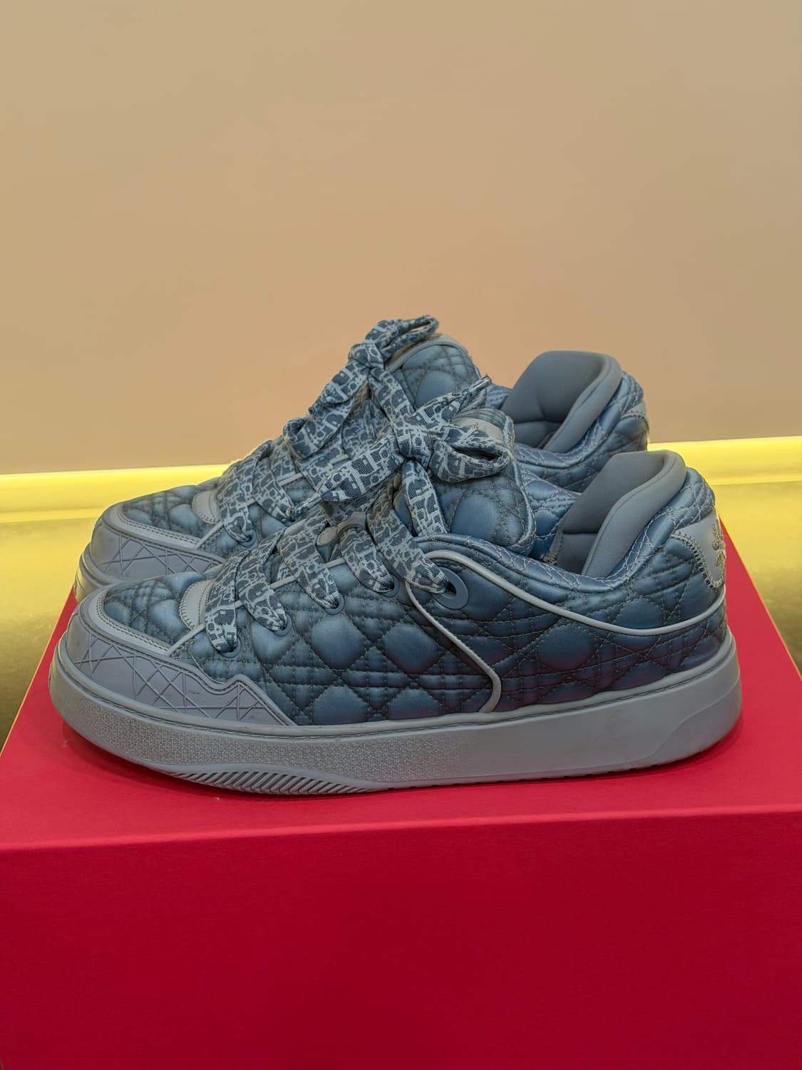 디올 Dior x ERL B310 스케이터 스니커즈 상품이미지4