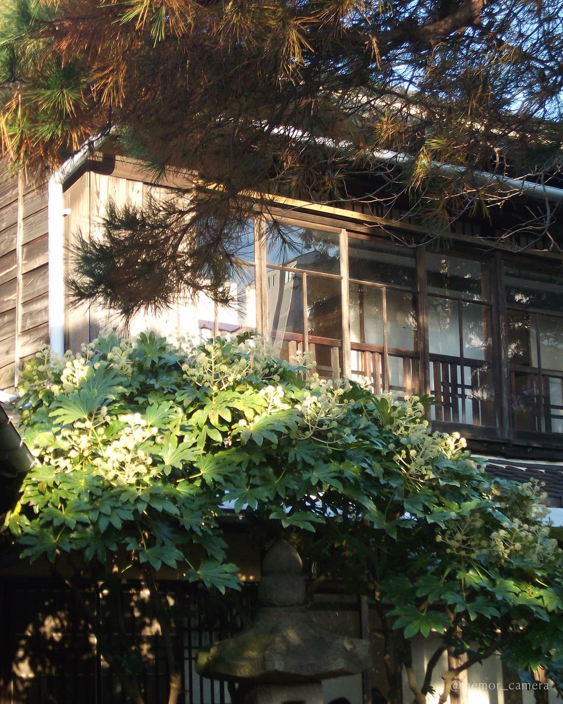 필카무드🌈FUJIFILM FINEPIX JV100 후지필름 디카 카메라 상품이미지8