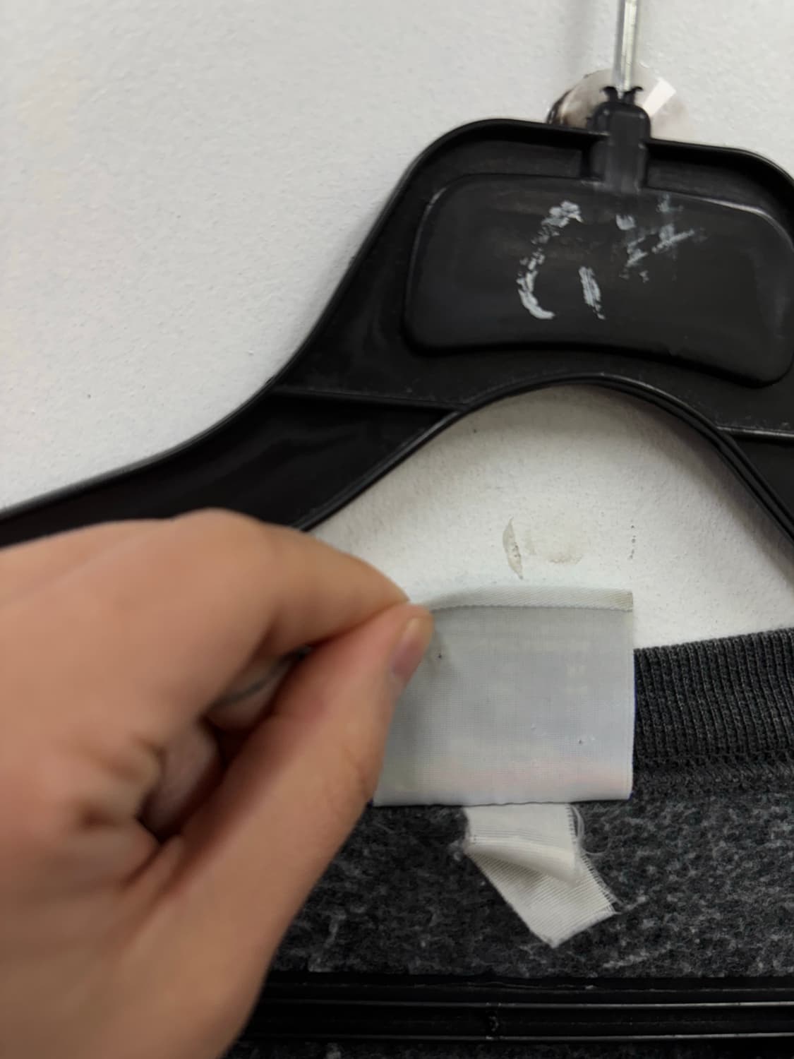 챔피온  맨투맨   상품이미지5