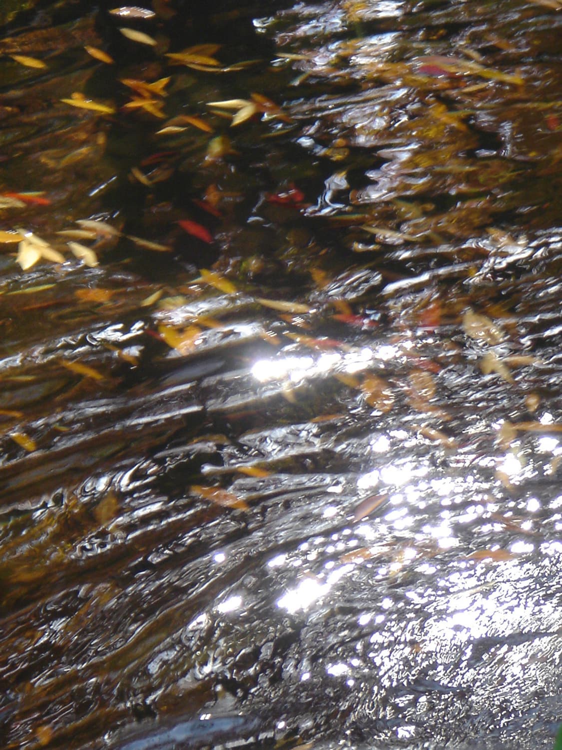 빈티지 소니 디카 dsc-t1 실버 카메라 상품이미지5