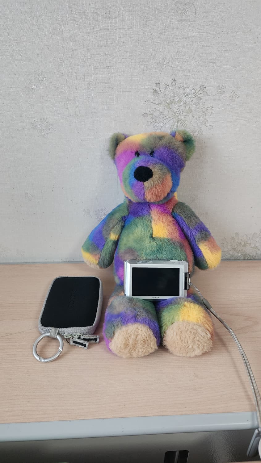 소니 사이버샷 DSC-T77 똑딱이 디카+케이스 상품이미지2