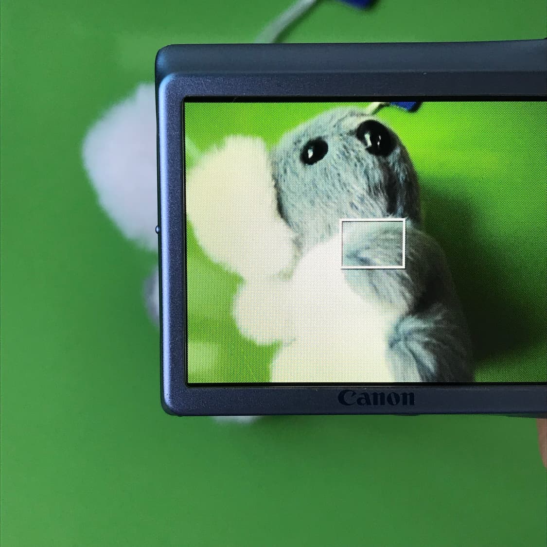 캐논 익서스 ixus 105 카메라 디카 상품이미지5