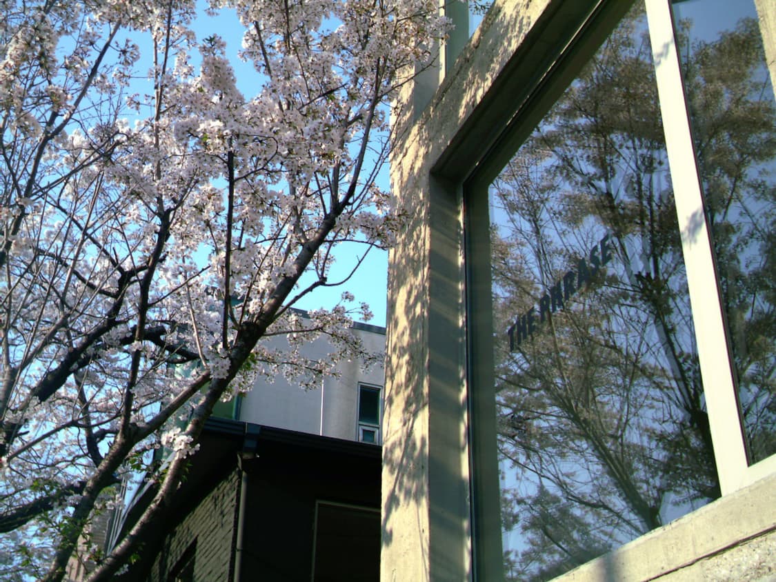 🩵비비타 ViviCam 3785 빈티지 디카🩵 상품이미지9