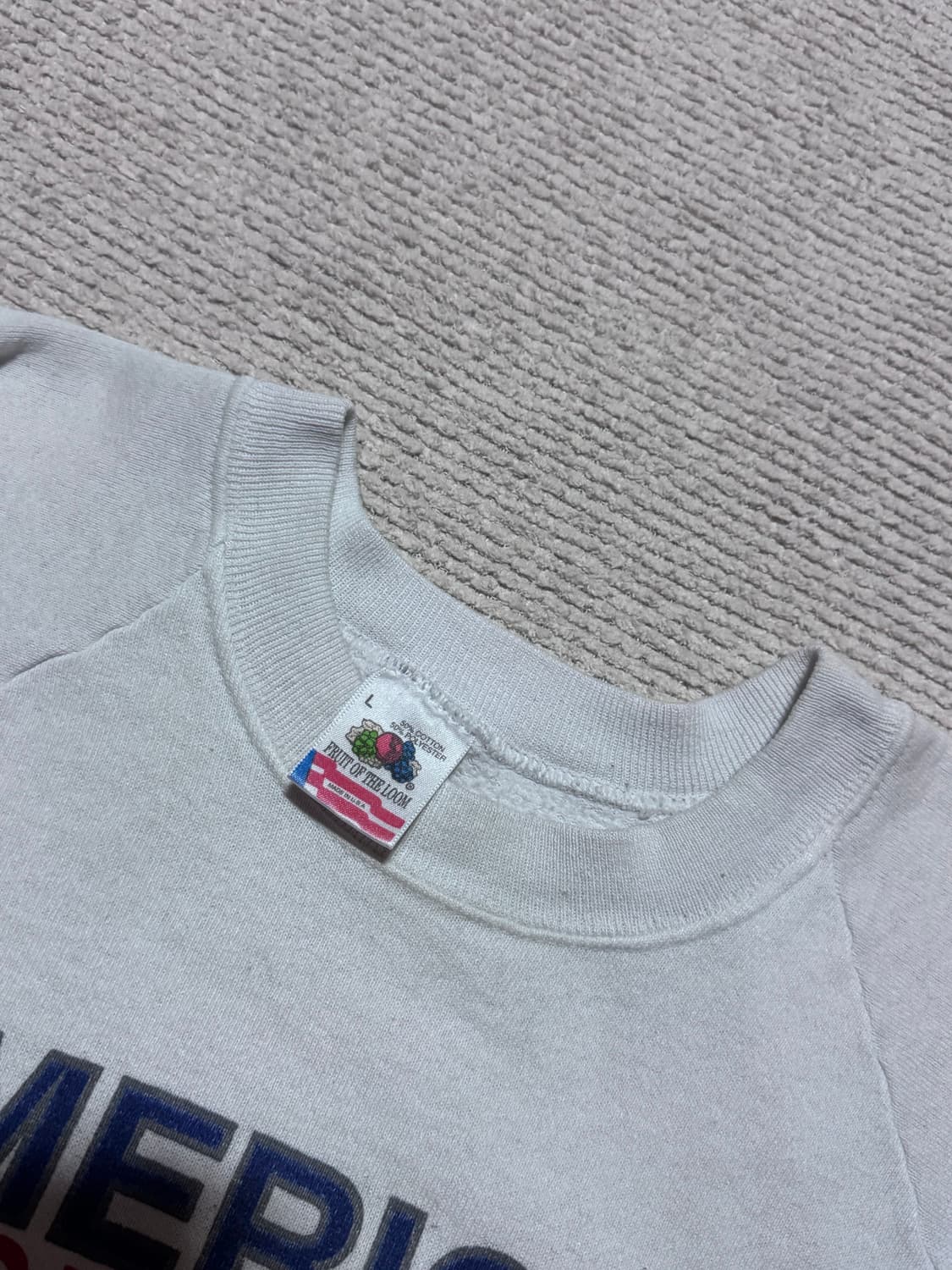 USA Fruit of the Loom Minnesota Twins 스웻 상품이미지4