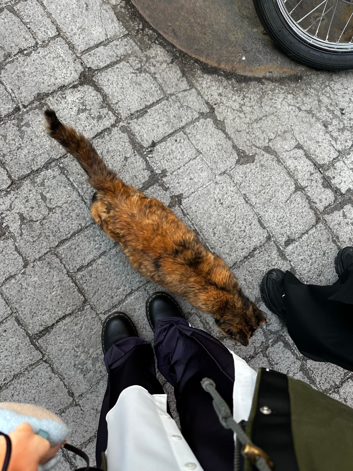 미피 손수건 개인결제 상품이미지1