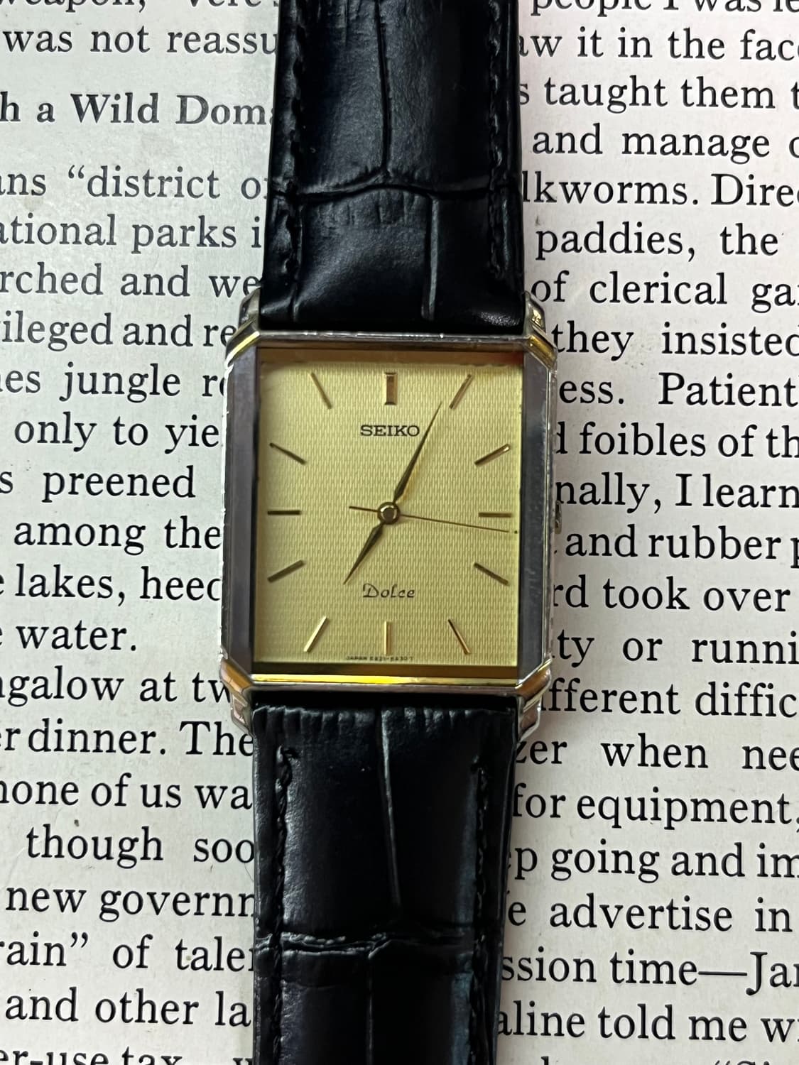  SEIKO DOLCE 드레스 쿼츠 상품이미지1