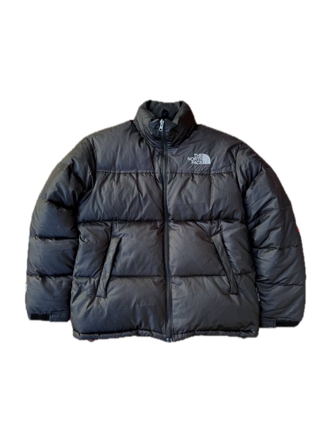 TNF summit series goose down jacket 상품이미지1