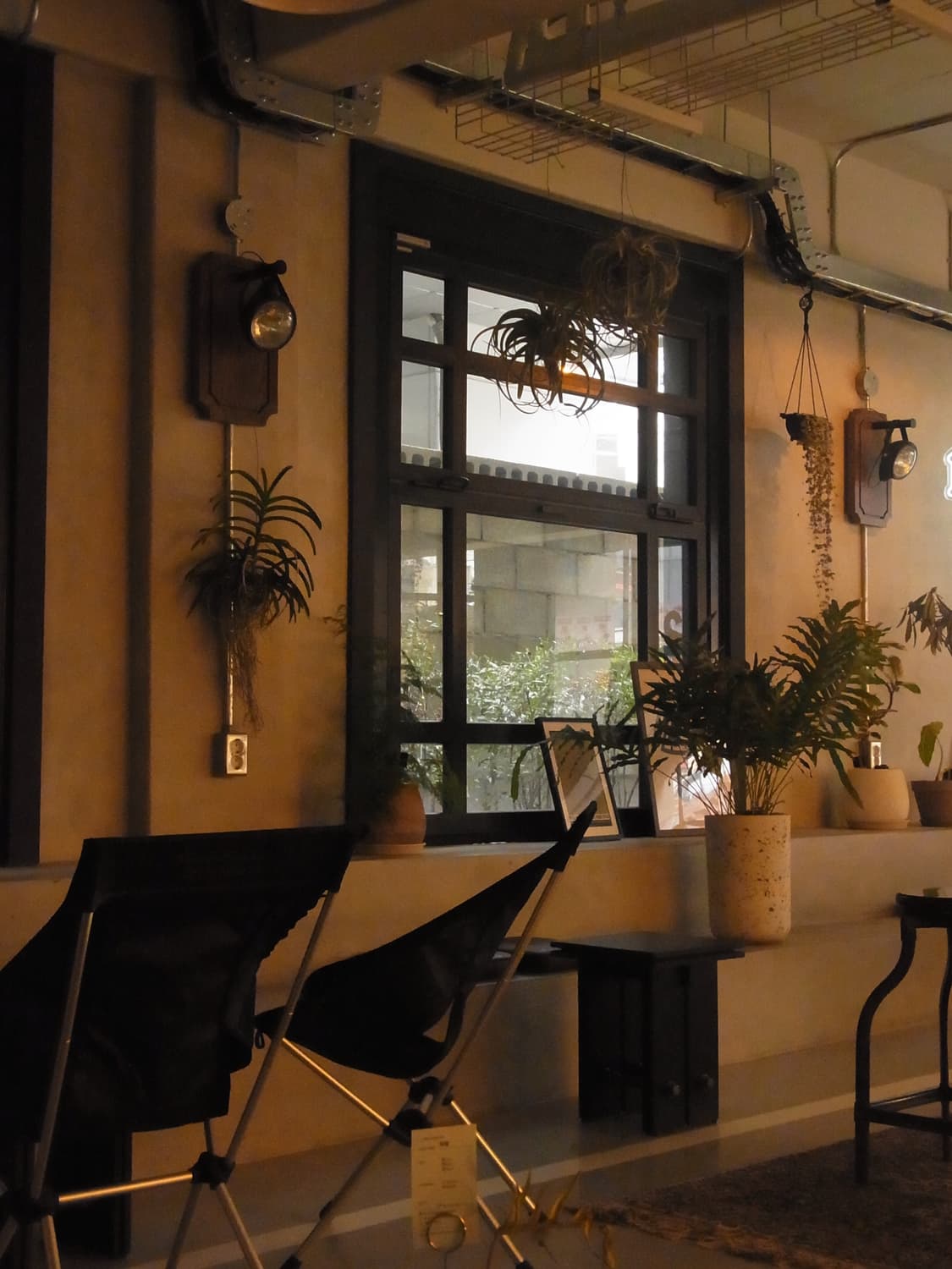 Ricoh CX6디카 상품이미지2