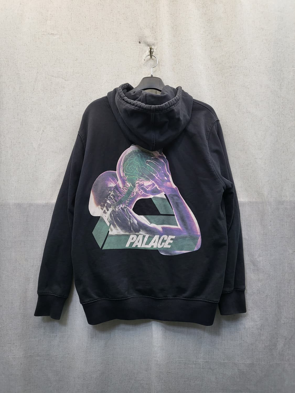 팔라스 뇌하수체 후드티 상품이미지2