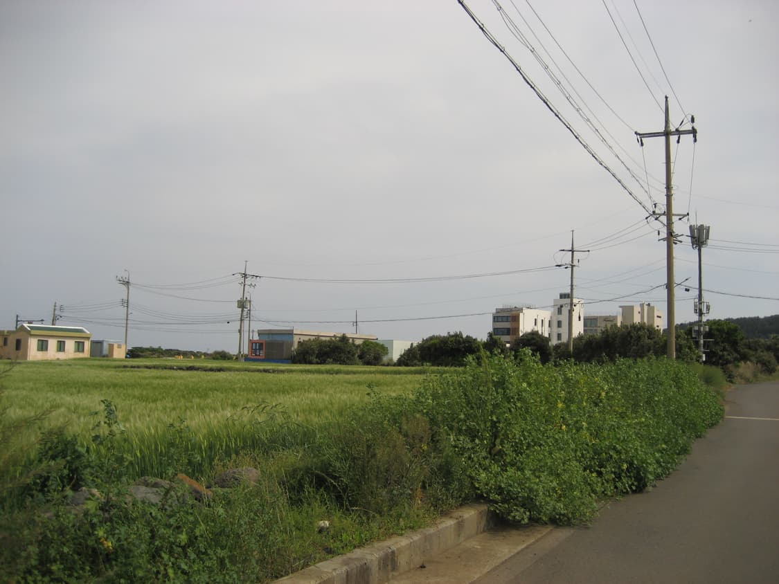 작례(0) 캐논 익서스 65 디카 canon ixus 65 상품이미지8