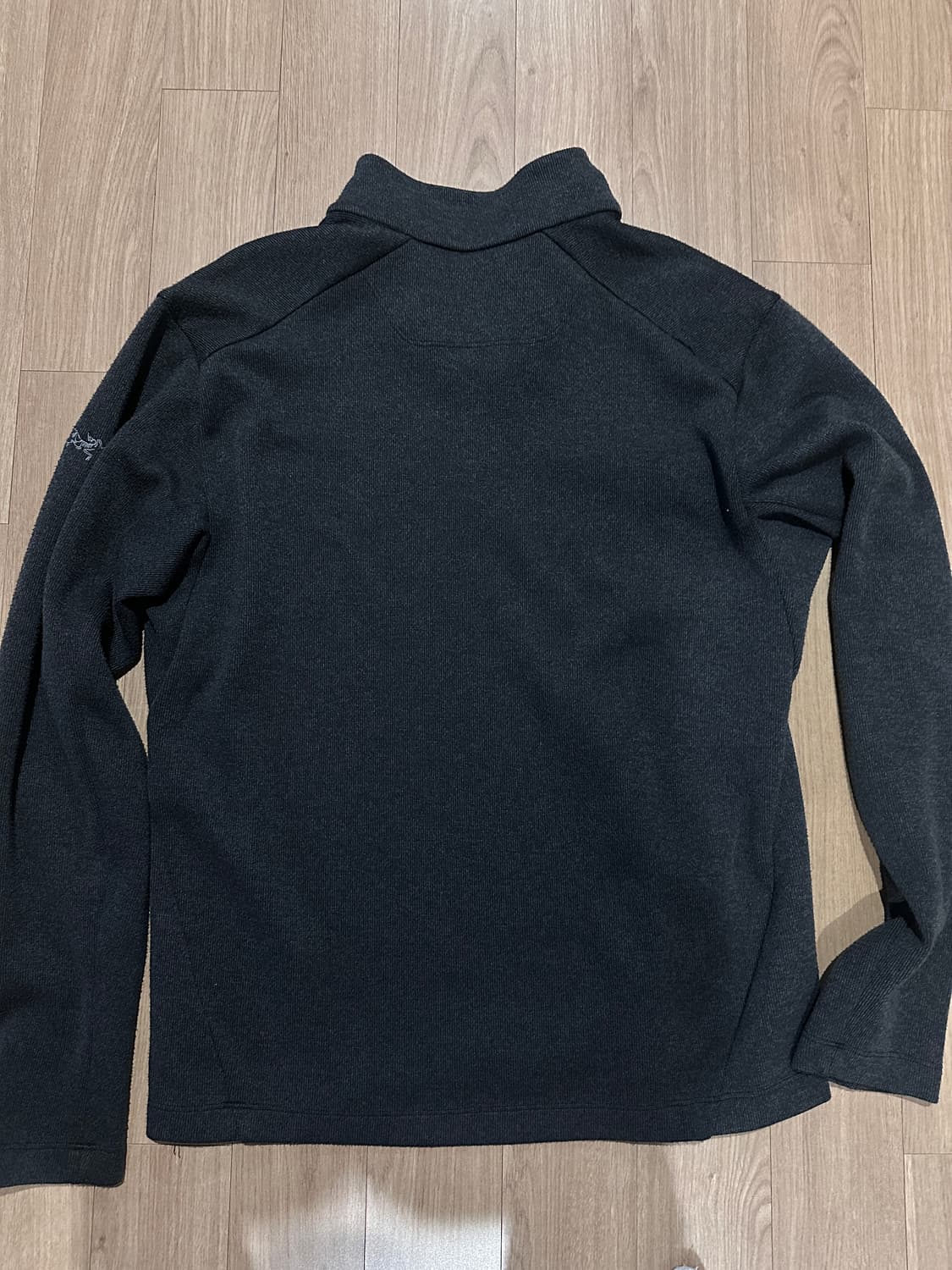 아크테릭스 반집업 (m) 상품이미지4