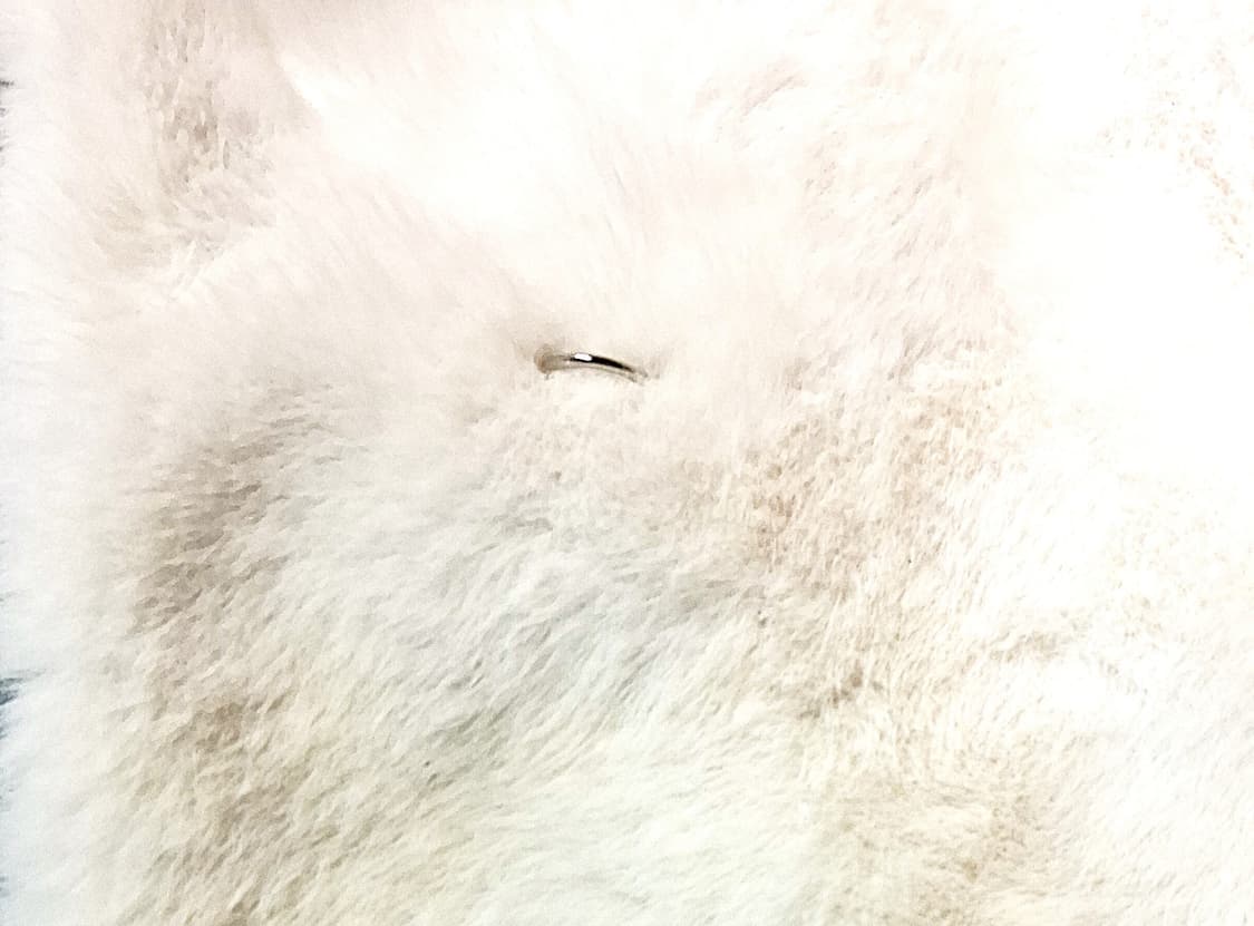 화이트 럭셔리 페이크 퍼 롱코트 (새상품) 상품이미지9