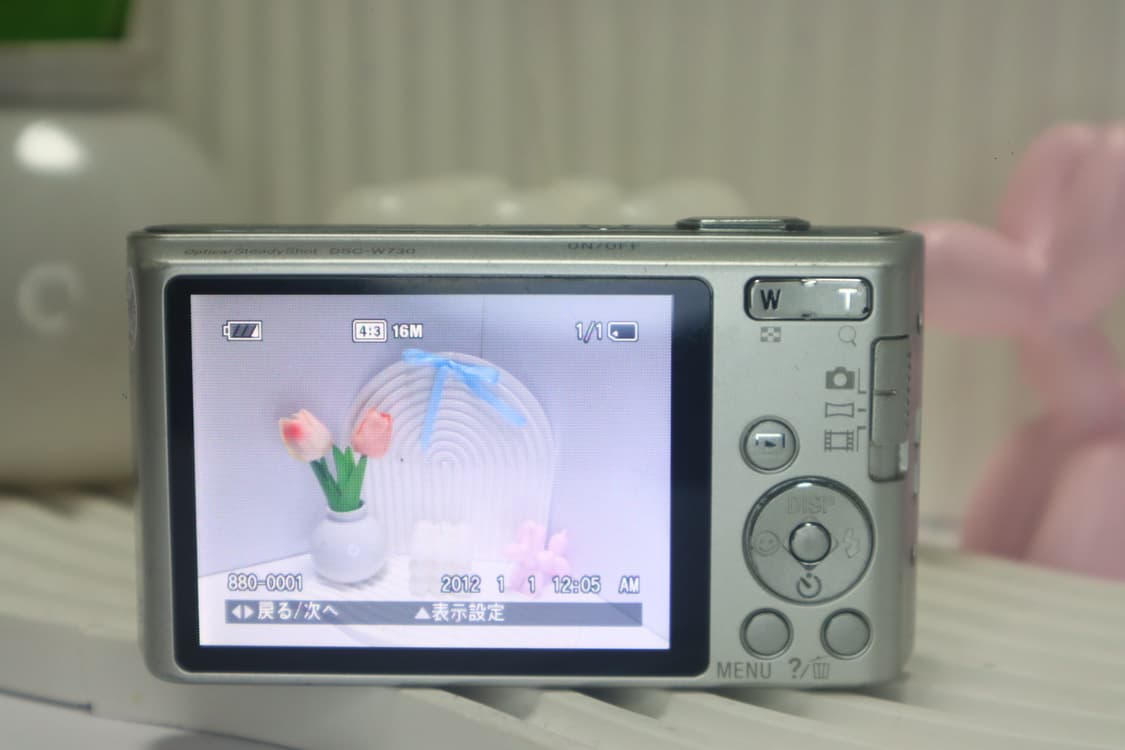 희귀 +인물사진!) 소니 사이버샷 w730 sony cybershot 상품이미지8