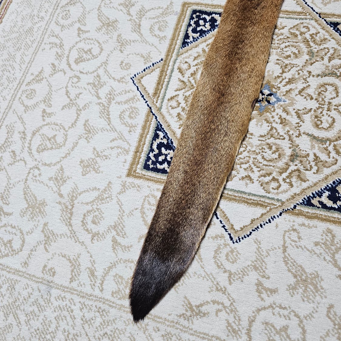 캥거루 가죽 상품이미지6