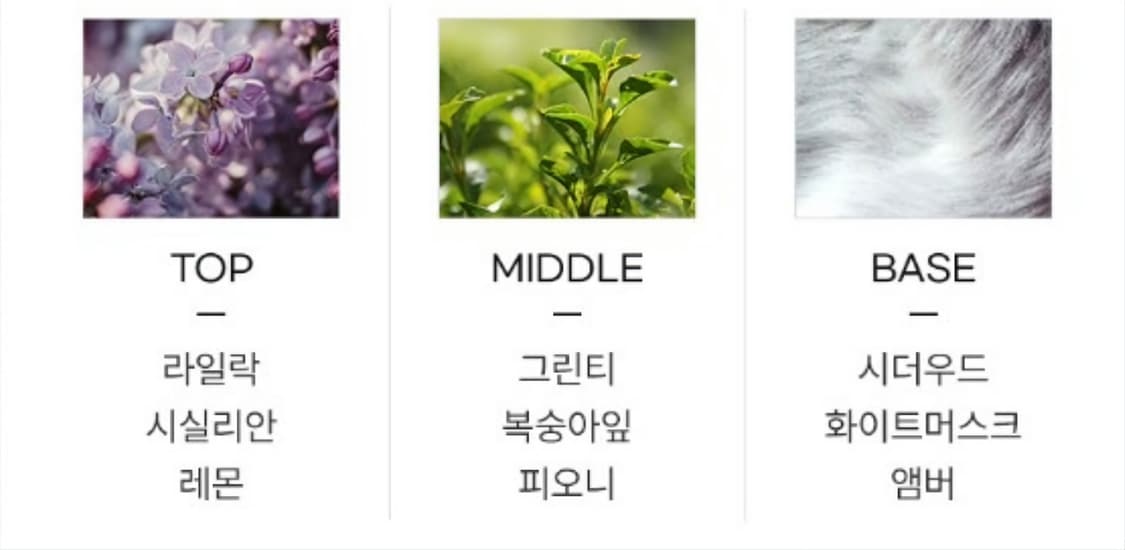 랑방 에끌라드 아르페쥬 오드퍼퓸 100ml 상품이미지5