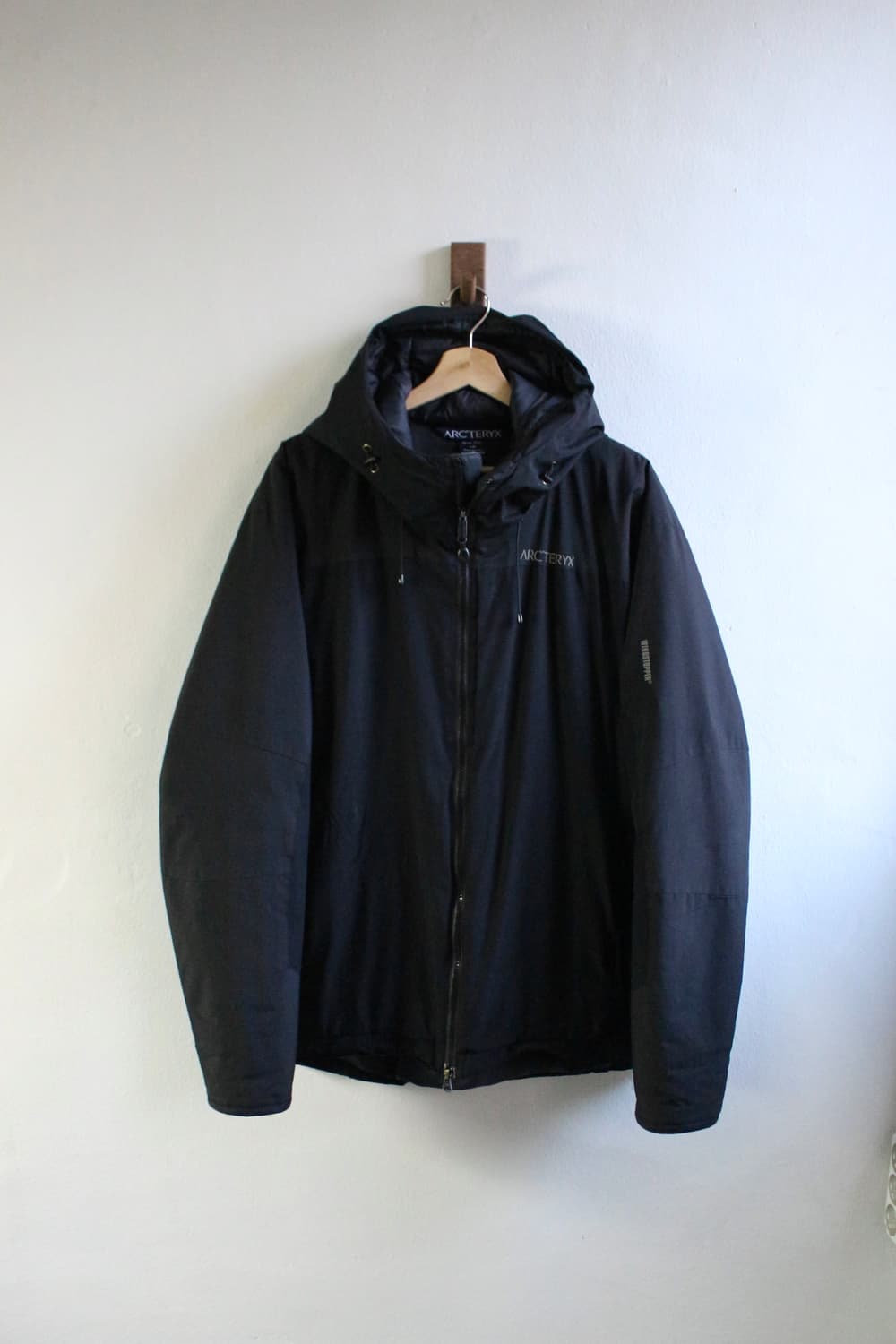 아크테릭스 피션 LT 후디 자켓 상품이미지1