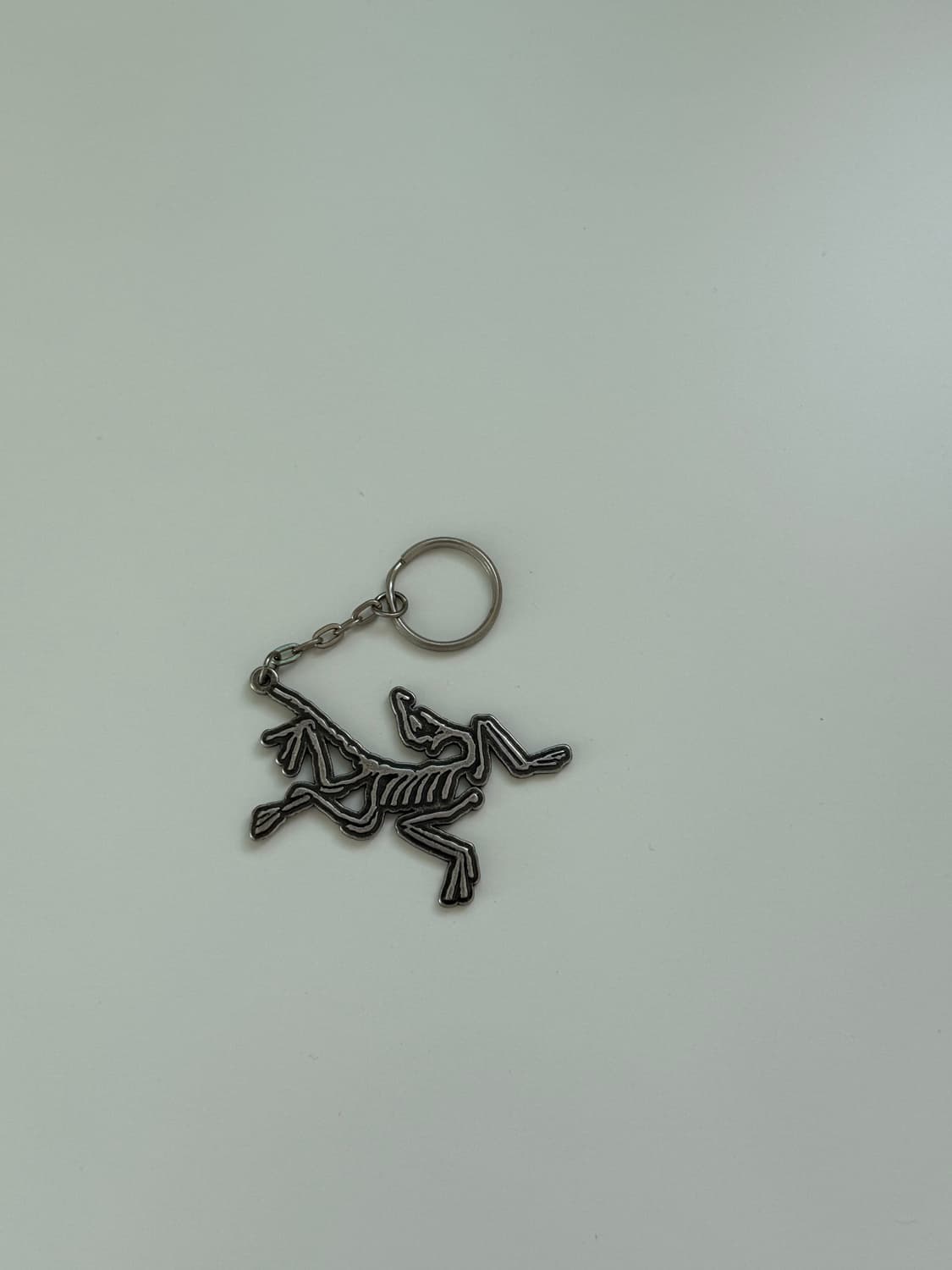 [새상품] 아크테릭스 키링 상품이미지1