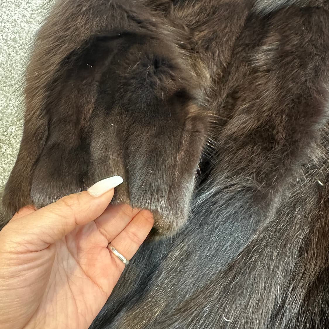 브라운 사가폭스 퍼자켓(태현모피)L 상품이미지6