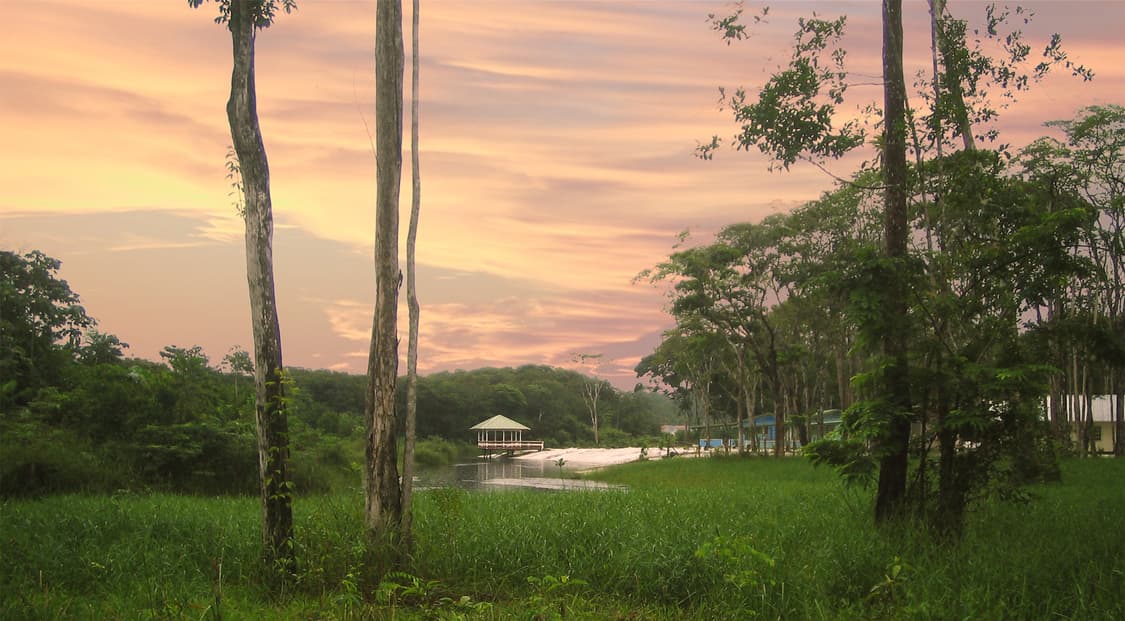 캐논 canon ixy digital pc1001 빈티지 디카 상품이미지7