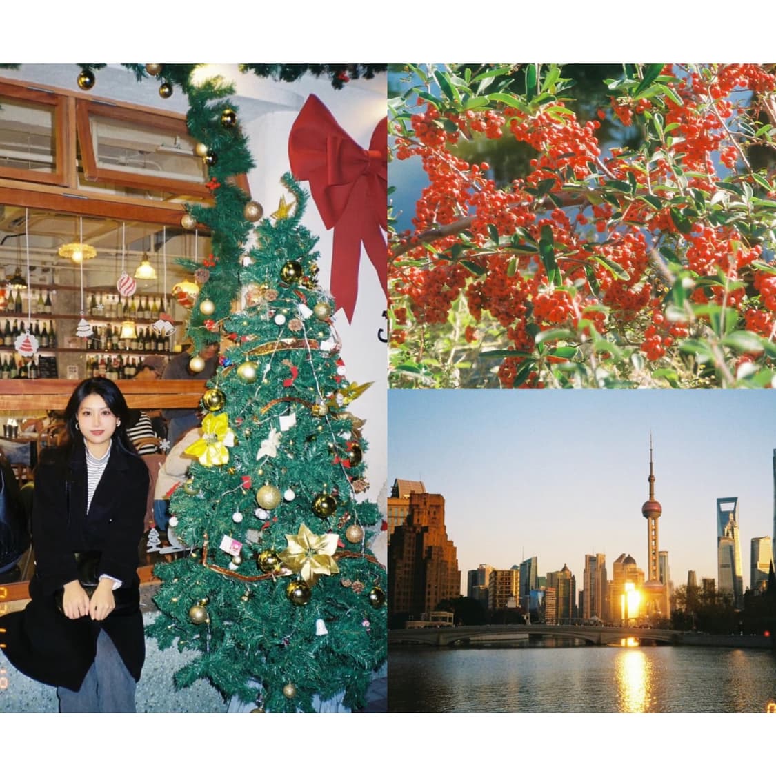 필름카메라 리코 tf 550d (에스파 닝닝님 카메라) 상품이미지3