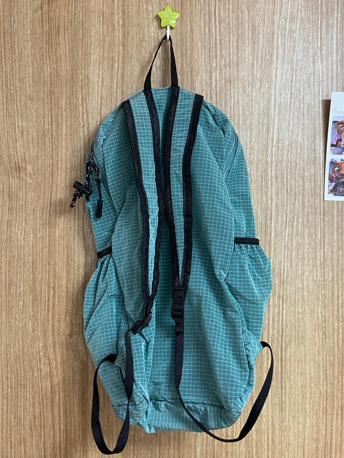 하이산 초경량 컴팩트 포켓백V2 나일론 에메랄드 (M) 상품이미지3