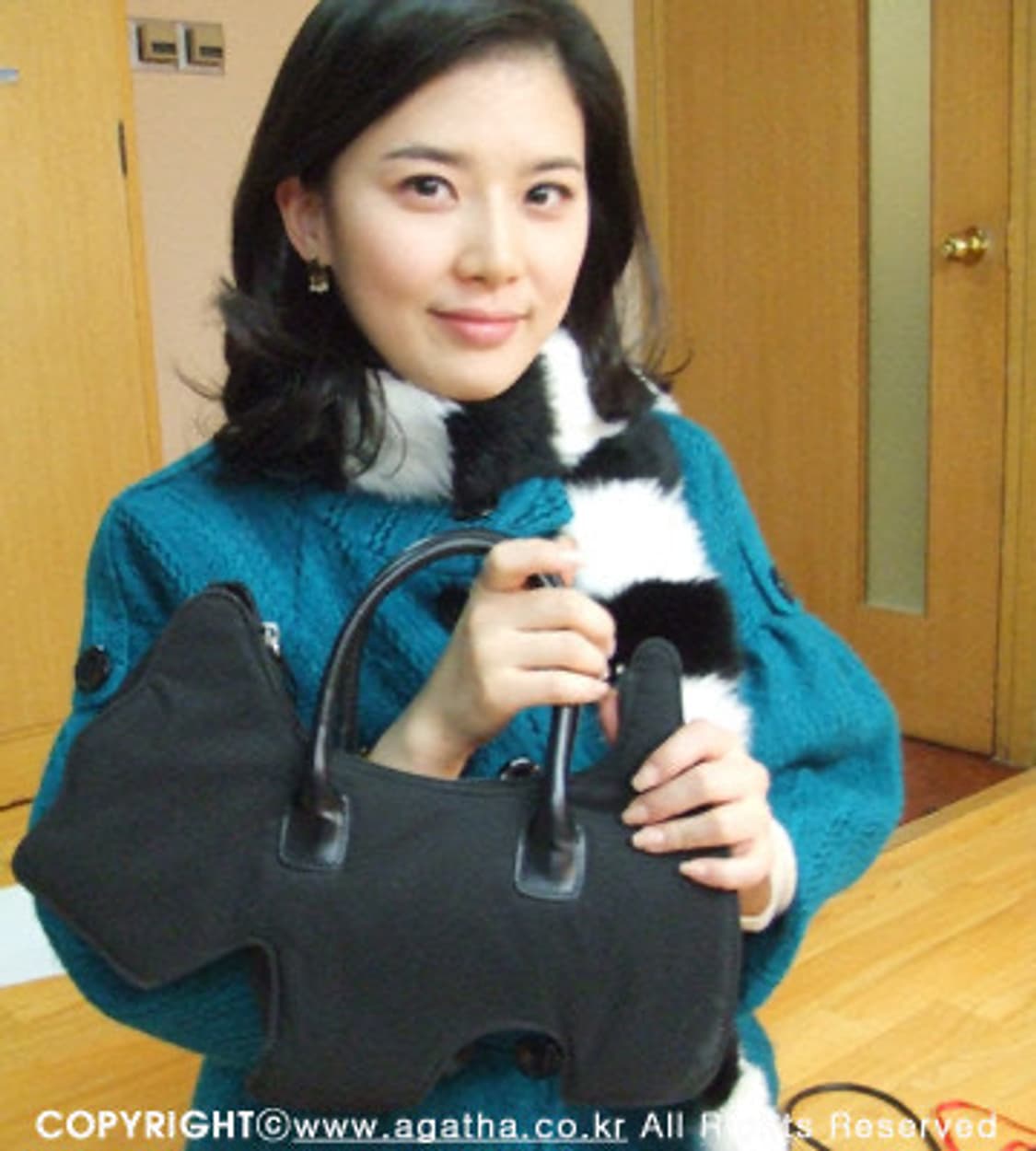 아가타 강아지 가방 상품이미지5