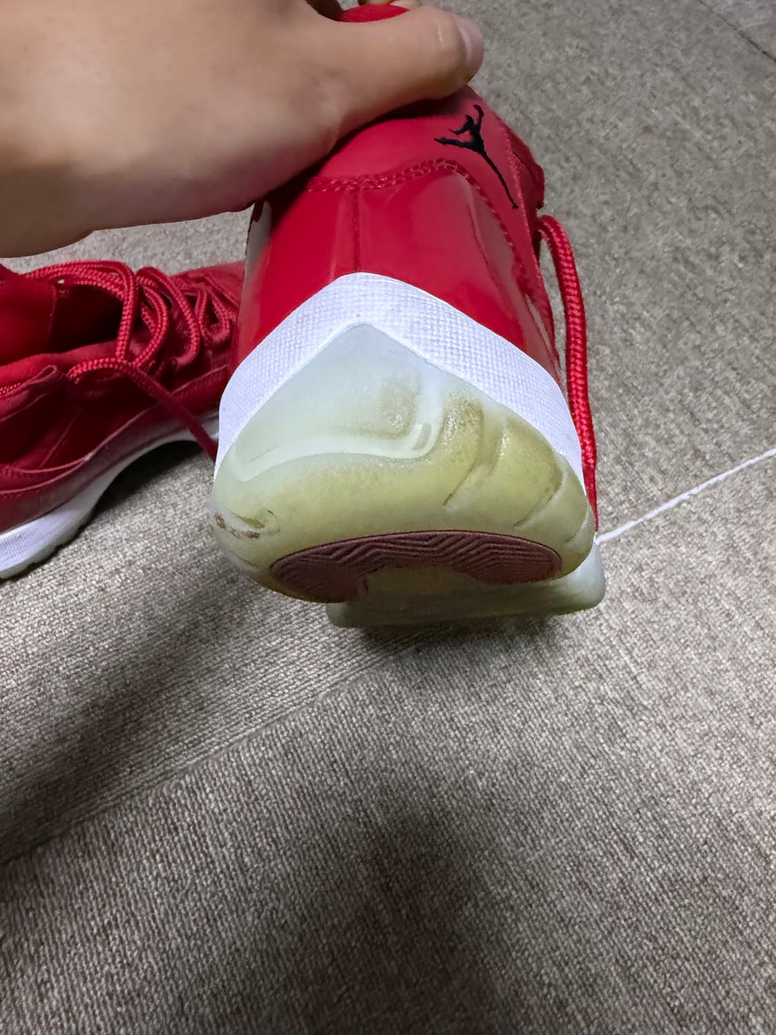 조던 11 콩고드 260 상품이미지2